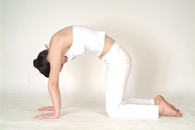 Một số bài tập yoga hữu ích vào buổi sáng