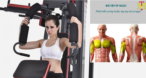Tổng Hợp Các Bài Tập Với Giàn Tạ Đa Năng