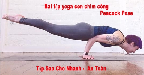 Bài Tập Yoga Con Chim Công - Peacock Pose là gì?