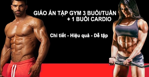 Giáo án tập Gym 3 buổi/tuần + 1 buổi cardio