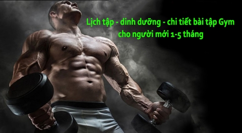 Lịch tập, Dinh dưỡng, Chi tiết các bài tập Gym cho người mới 1-5 tháng