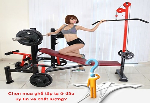 Chọn mua ghế tập tạ ở đâu uy tín và chất lượng - đa dạng mẫu mã