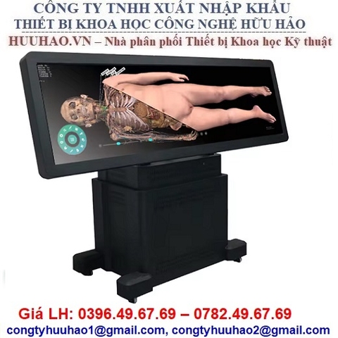 BÀN MÔ PHỎNG GIẢI PHẪU CƠ THỂ NGƯỜI 3D