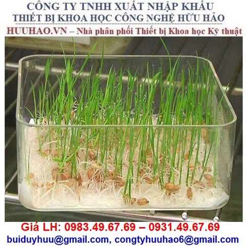 Giấy nẩy mầm, Giấy nẩy mầm hấp thụ cao