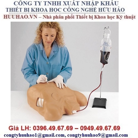 MÔ HÌNH CHỌC DÒ MÀNG TIM, MÀNG PHỔI LF03769 NASCO