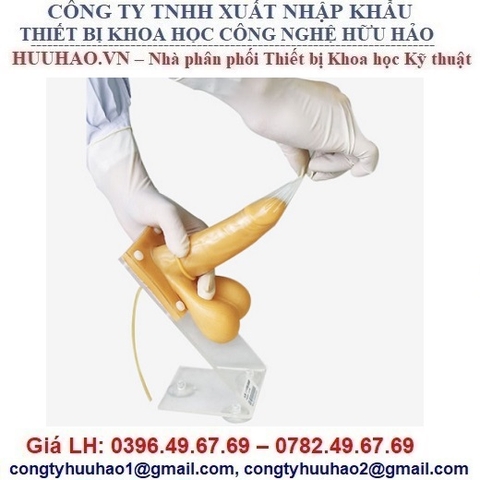 MÔ HÌNH MÔ PHỎNG MANG BAO CAO SU NAM GD/F5M