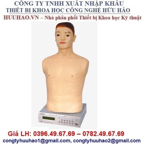 MÔ HÌNH THỰC TẬP NGHE TIM PHỔI NGƯỜI LỚN GD/Z990