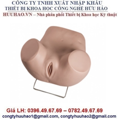 Mô hình mô phỏng khám phụ khoa tổng quát GD/F35