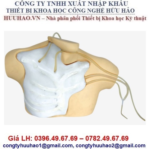 MÔ HÌNH ĐẶT ỐNG THÔNG TĨNH MẠCH TRUNG TÂM GD/L69B