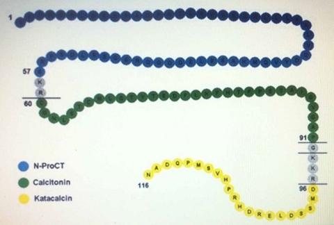 XÉT NGHIỆM PROCALCITONIN ĐÁNH GIÁ TÌNH TRẠNG NHIỄM KHUẨN 3