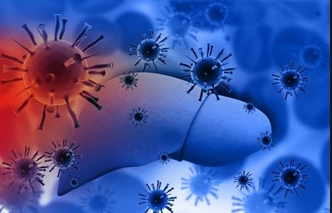 PHÂN BIỆT CÁC LOẠI VIRUS VIÊM GAN GÂY BỆNH