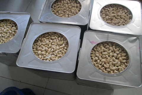 Cashew Nuts