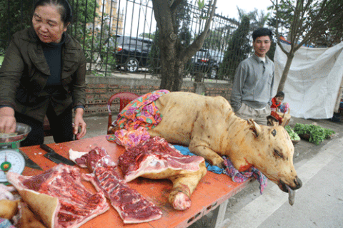 thịt bê thui (loại dưới 60 kg)