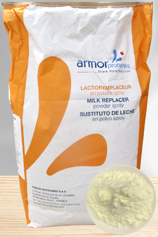 BỘT SỮA BÉO THỰC VẬT / FAT FILLED MILK POWDER Lactarmor G 45 CP