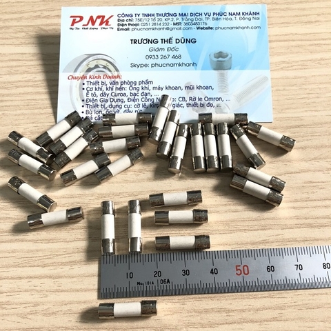 CẦU CHÌ SỨ 5x20MM 3.15A 250V