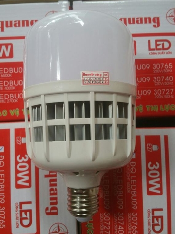 BÓNG ĐÈN LED BULB 20W ĐIỆN QUANG BU09 20765