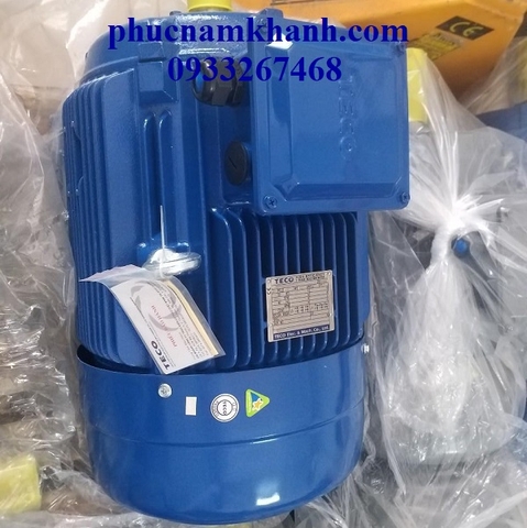 MOTOR CHÂN ĐẾ AESV 4P 2HP TECO