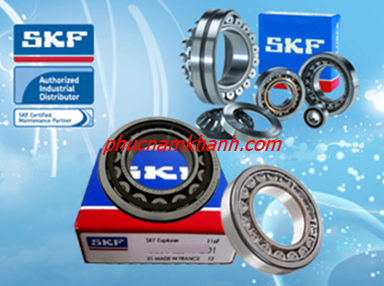 Vòng Bi - Bạc đạn SKF