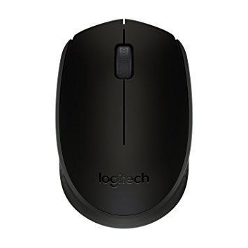 Mouse Logitech B170