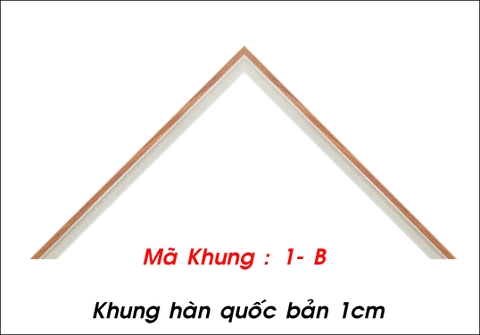 Mã khung :  1B