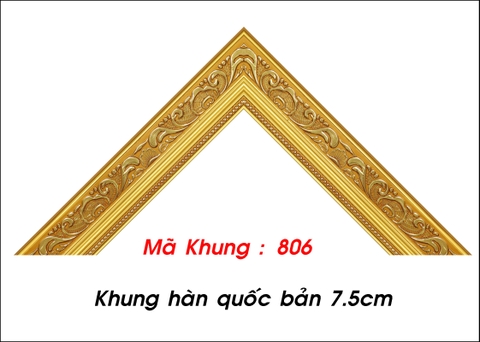 Mã khung  :  806