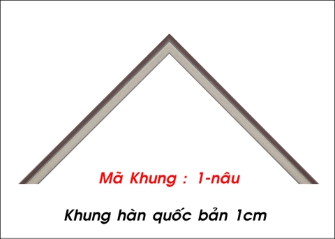 Mã khung :1 nâu