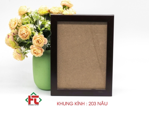 Khung kính : 203 NÂU