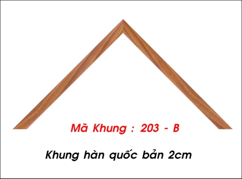 Mã khung : 203 - B