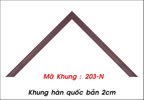 Mã khung : 203 - N