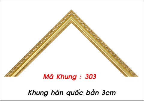 Mã khung : 303