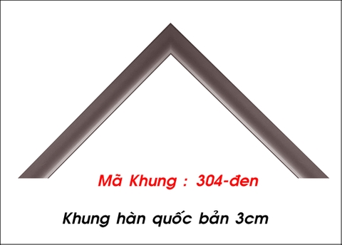 Mã khung : 304 -đen