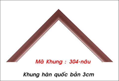 Mã khung : 304 -nâu