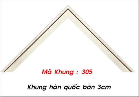 Mã khung : 305