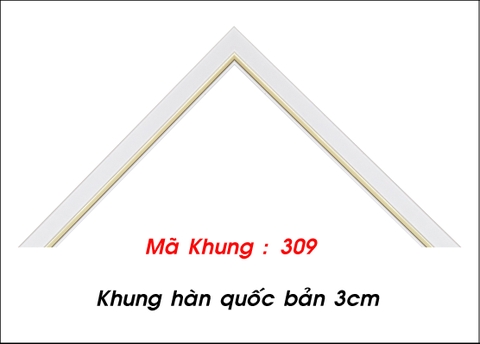 Mã khung : 309