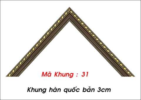 Mã khung : 31