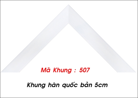 Mã khung : 507