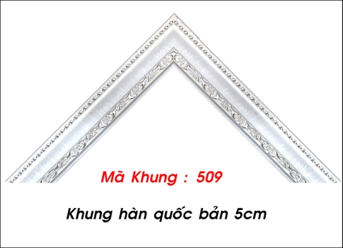 Mã khung : 509