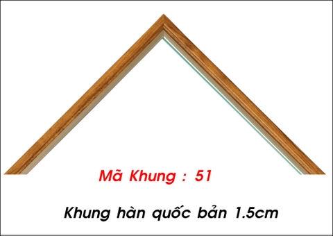 Mã khung : 51