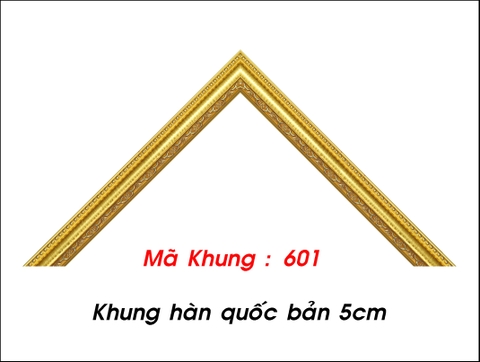 Mã khung : 601