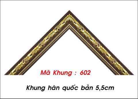 Mã khung : 602