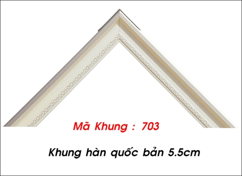 Mã khung : 703