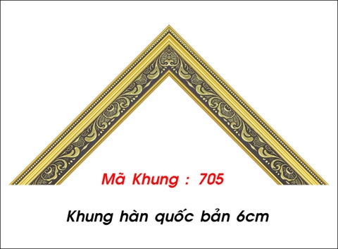 Mã khung : 705