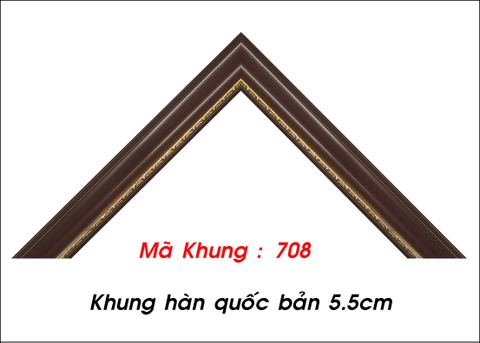 Mã khung : 708