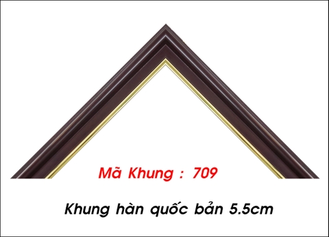 Mã khung : 709