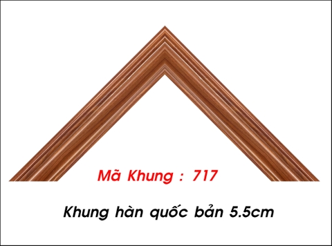 Mã khung : 717