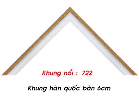 Mã khung : 722