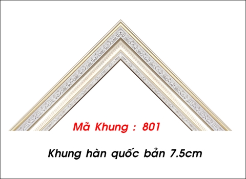 Mã khung : 801