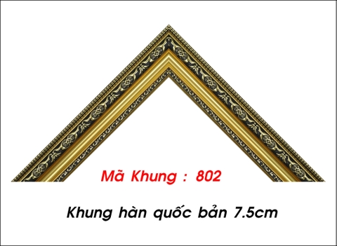 Mã khung : 802