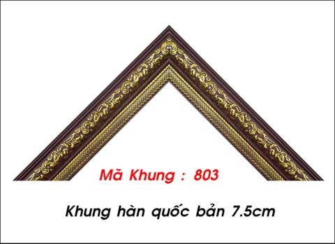 Mã khung :  803