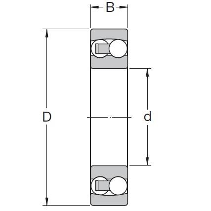 Vòng Bi cầu 2 dãy NSK